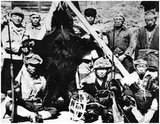 The Matagi (Japanese: 又鬼) are traditional winter hunters of the Tōhoku region of northern Japan, most famously today in the Shirakami-Sanchi forest between Akita and Aomori. They hunt deer and bear, and their culture has much in common with the bear cult of the Ainu.<br/><br/> 

They live in small hamlets of the mountain beech forests of Tōhoku and engage in agriculture during the planting and harvest season. In the winter and early spring, they form hunting bands that spend weeks at a time in the forest. With the introduction of guns in the 20th century, the need for group hunting for bear has diminished, leading to a decline in Matagi culture.<br/><br/> 

Matagi hamlets are found in the districts of Nishitsugaru and Nakatsugaru (Aomori), Kitaakita and Senboku (Akita), Waga (Iwate), Nishiokitama and Tsuruoka (Yamagata), Murakami and Nakauonuma (Niigata and Nagano).<br/><br/> 

The Matagi are attested from the Medieval period, but continue to hunt today. They have come into conflict with environmentalists now that the forest has been partly cleared. They no longer hunt the serow, which is protected, but continue to hunt bear.<br/><br/>

Specialized Matagi hunting vocabulary contains Ainu words. Indeed, the word matagi itself may be Ainu, from matangi or matangitono 'man of winter, hunter.